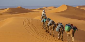 Wyprawa Rozwojowa Sahara - zdjęcie nr 10