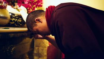 Buddyjscy Nauczyciele: Obudź się i zmądrzej