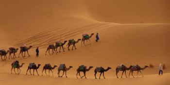Wyprawa Rozwojowa Sahara - zdjęcie nr 18
