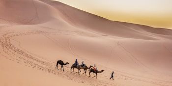 Wyprawa Rozwojowa Sahara - zdjęcie nr 15