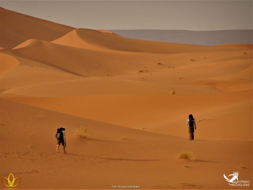 Wyprawa Rozwojowa Sahara - zdjęcie nr 16