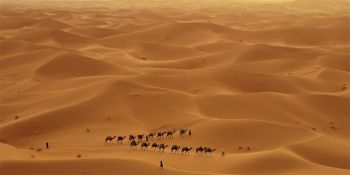 Wyprawa Rozwojowa Sahara - zdjęcie nr 17