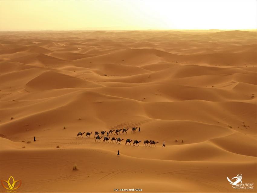 Wyprawa Rozwojowa Sahara - zdjęcie nr 17