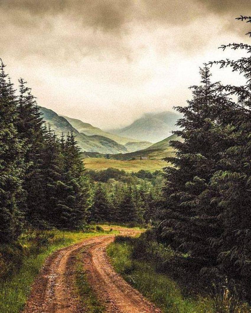 Płynąca z lasami: BEZDROŻA NASZEGO GŁOSU/Zdjęcie: IG Hidden Scotland