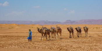 Wyprawa Rozwojowa Sahara - zdjęcie nr 5