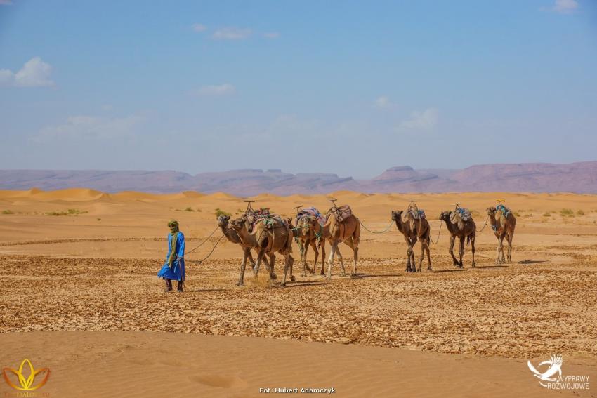 Wyprawa Rozwojowa Sahara - zdjęcie nr 5