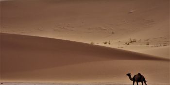 Wyprawa Rozwojowa Sahara - zdjęcie nr 26