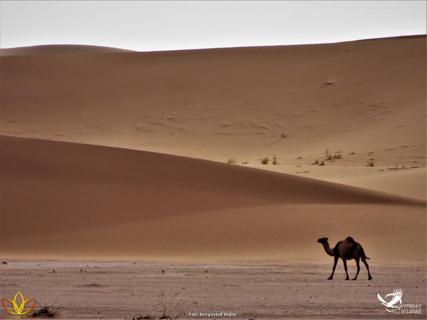 Wyprawa Rozwojowa Sahara - zdjęcie nr 26